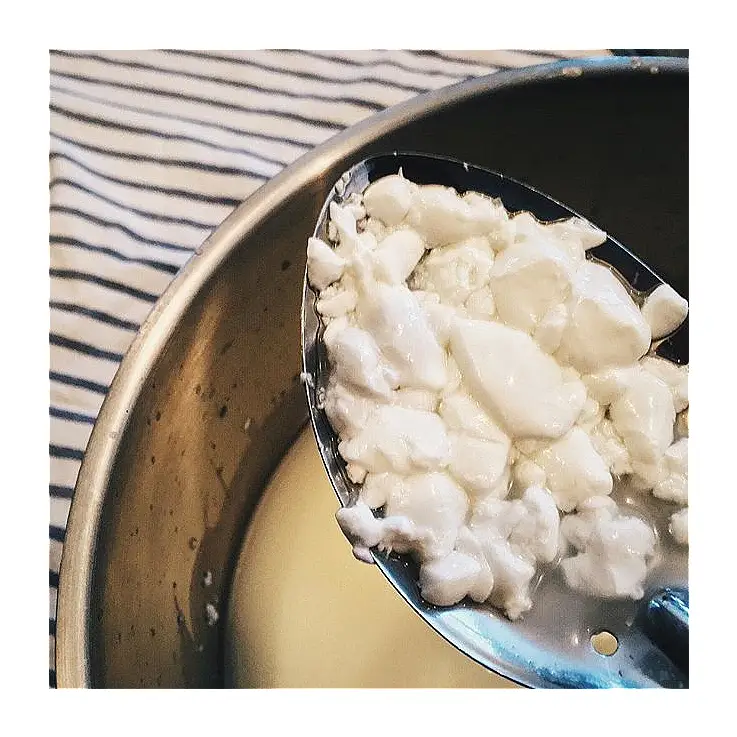 Prepara ricotta