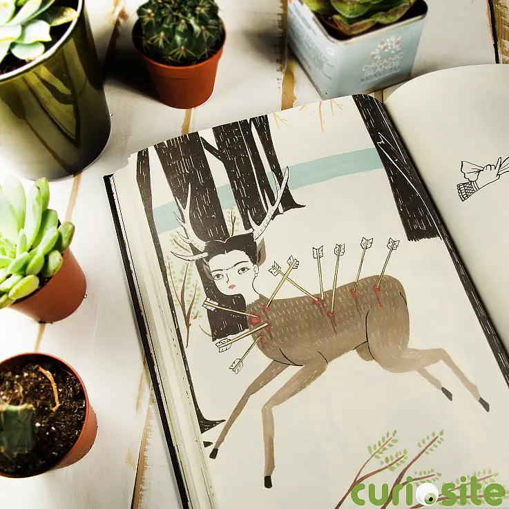 Belleza, dolor y delicadeza