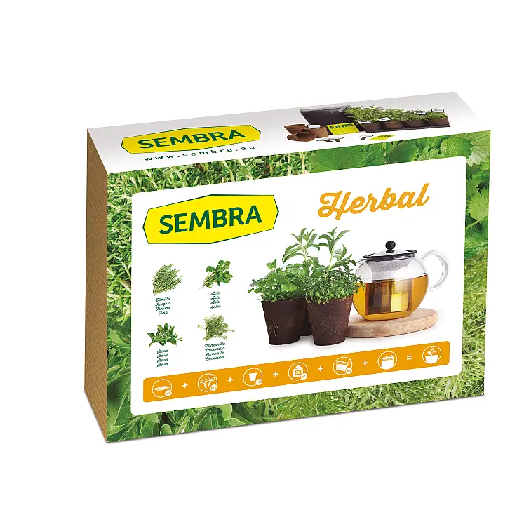 Planta tus propias infusiones