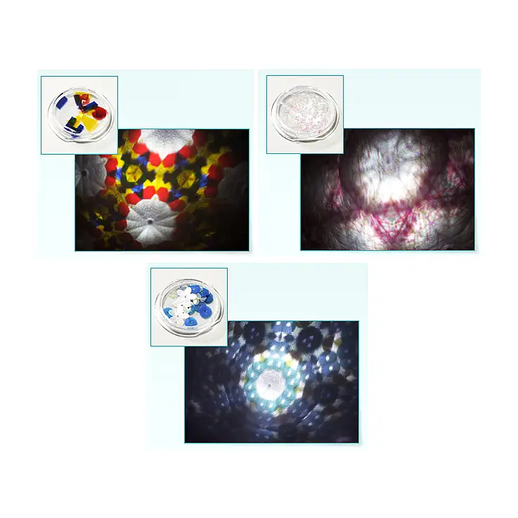 Crea tus composiciones con las perlas e introdúcelas en las bandejitas