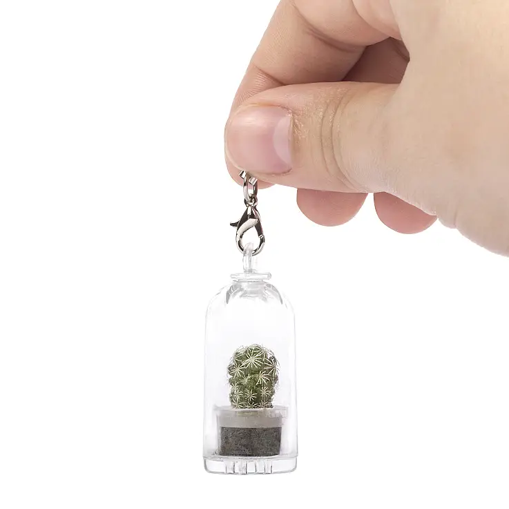 La cápsula mide 4 cm de alto