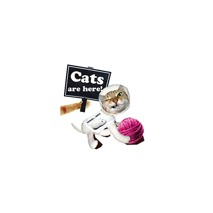 Un Youdoocat con ganas de comerse un ratón