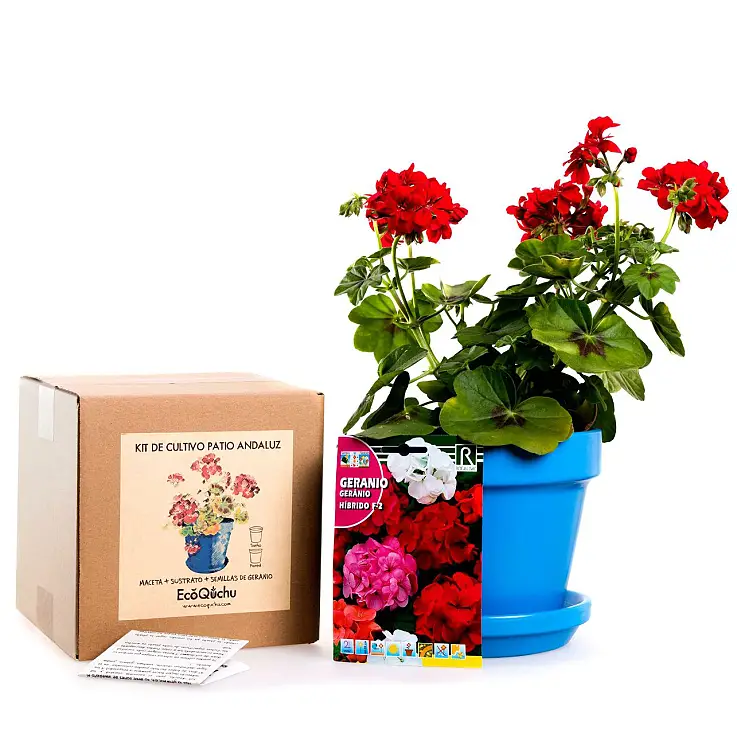 Un kit de cultivo de estilo andaluz
