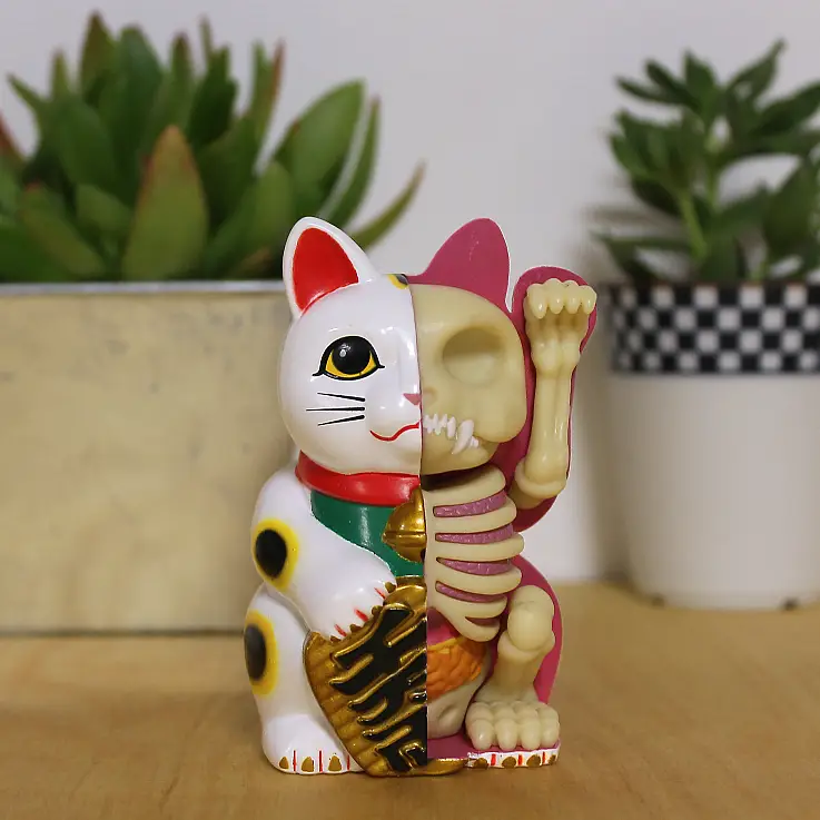 Descubre los interiores de un gato de la suerte