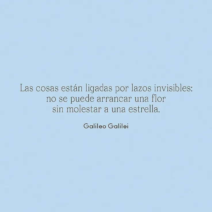 Acompañado de frases para meditar