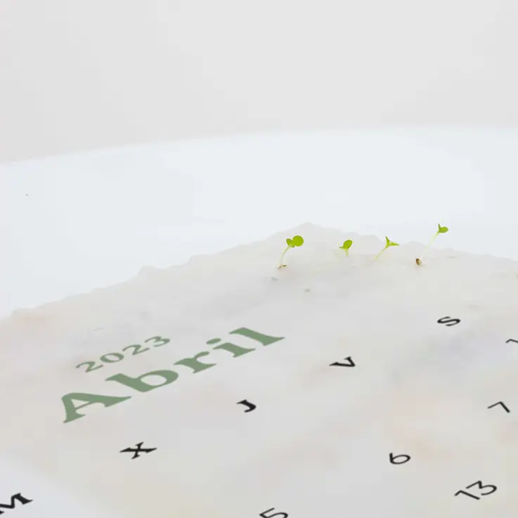 Papeles elaborados a partir de algodón reciclado