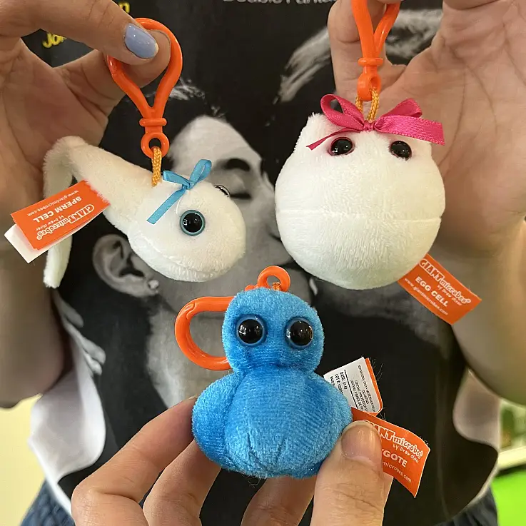 Pueden servir como herramienta de aprendizaje