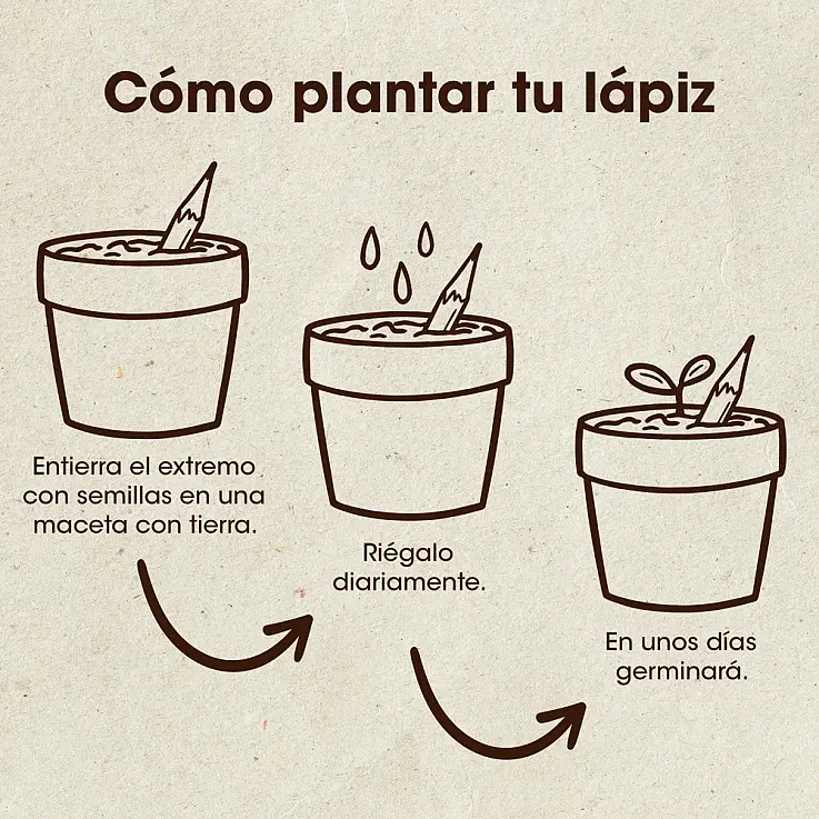 Diseñado en España por Resetea