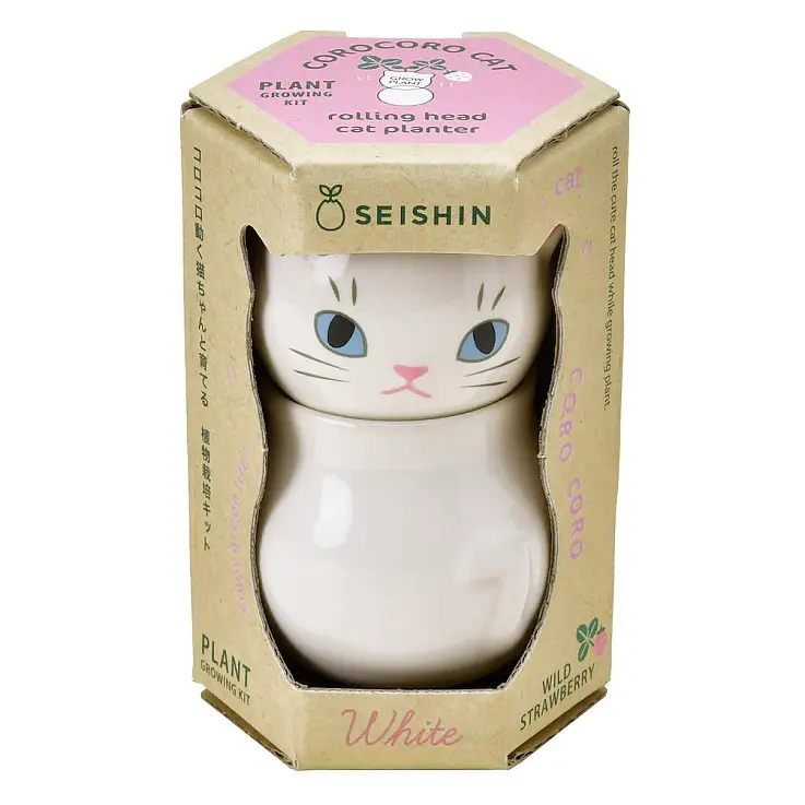 Gatito blanco con semillas de fresa silvestre