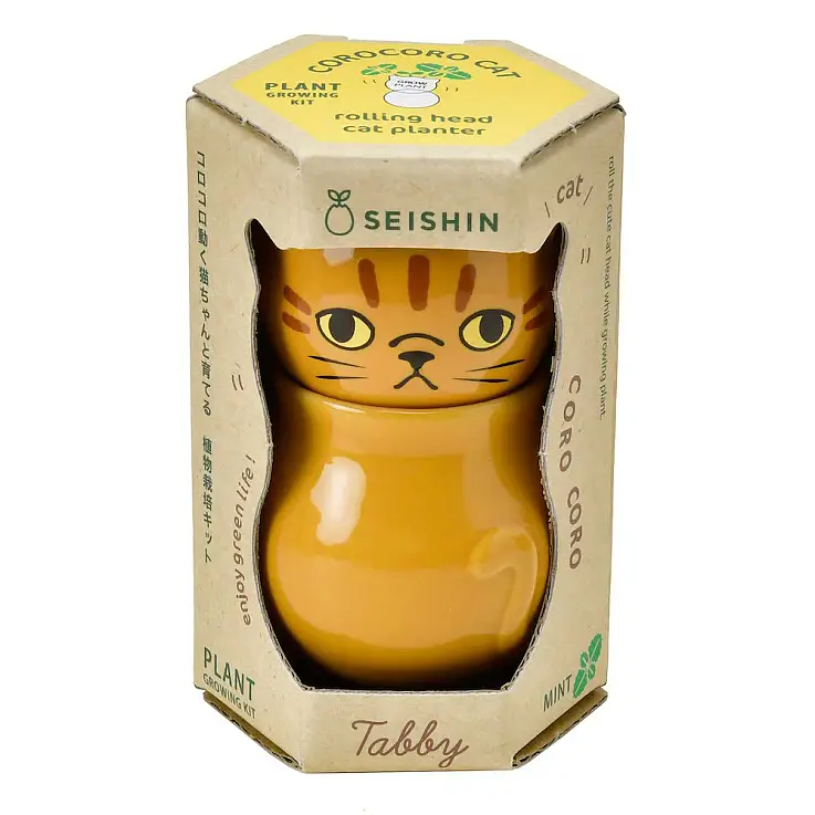 Gatito atigrado con semillas de menta