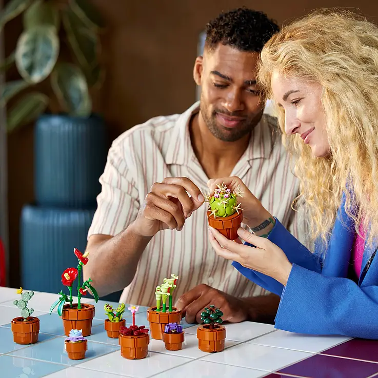 Construye 9 mini plantas distintas