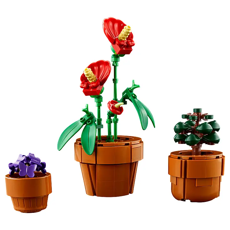 Plantas tropicales