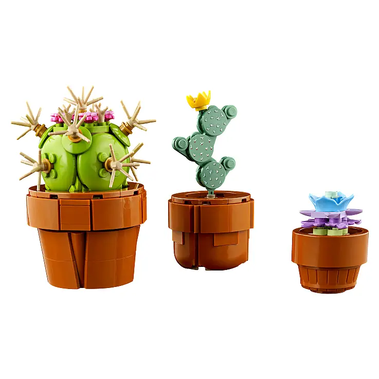 Plantas áridas