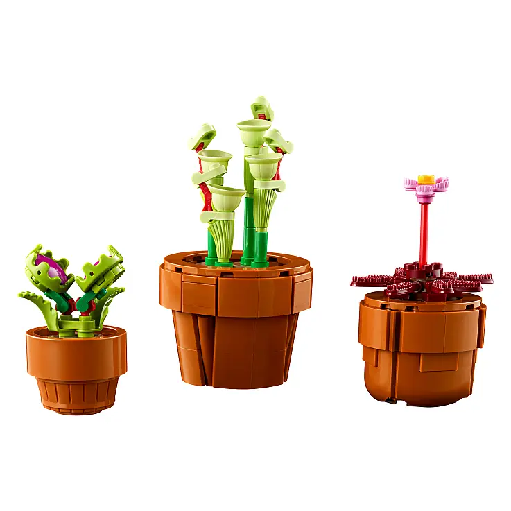 Y plantas carnívoras