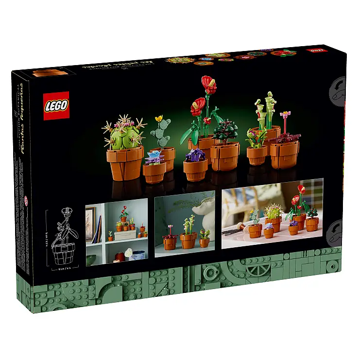El mejor regalo para los amantes de las plantas