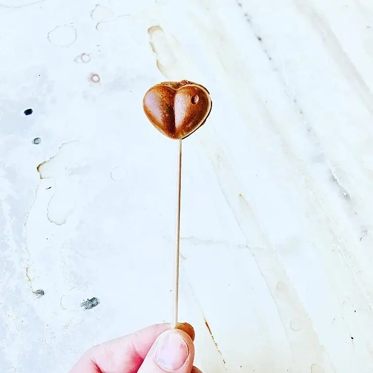 Fácil, cómodo y delicioso