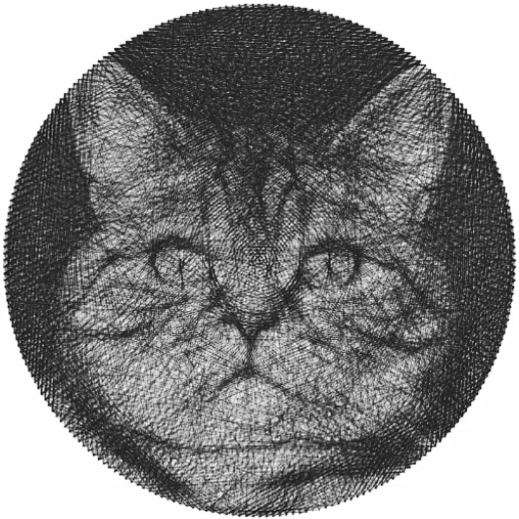 Incluye hilo para crear hasta 3 cuadros