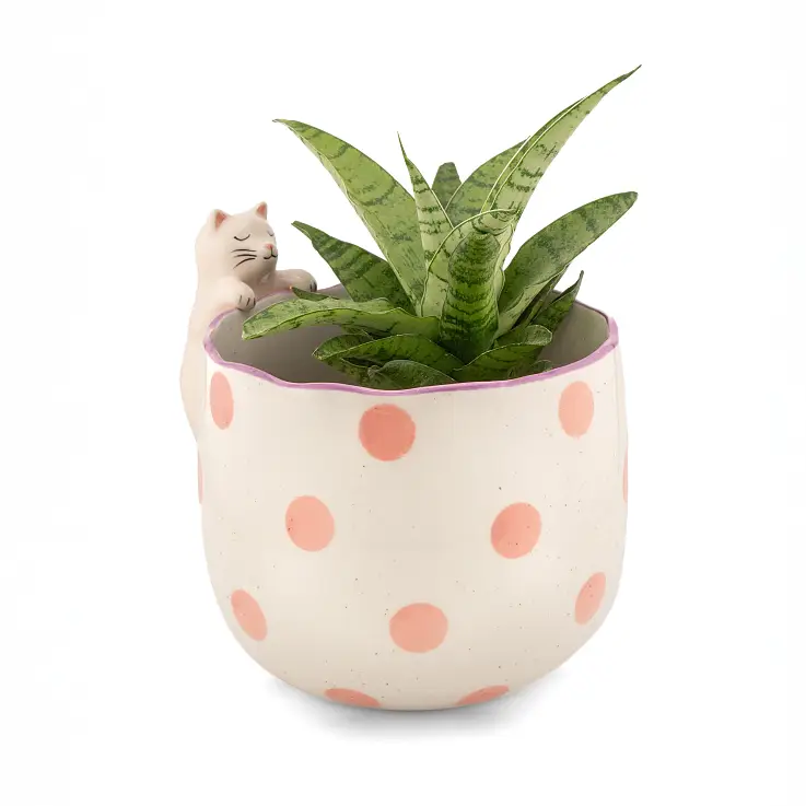Gatito