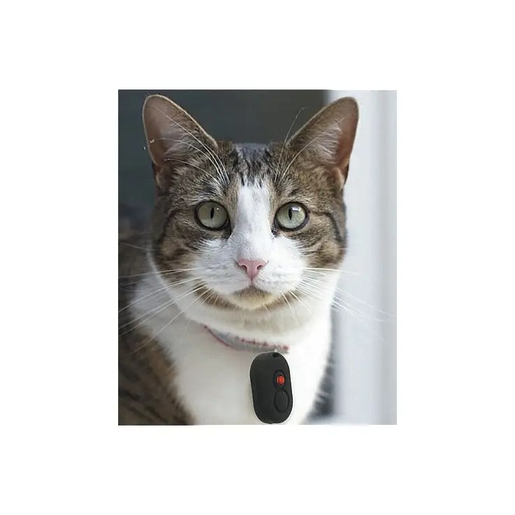 ¡Tendrás siempre localizado a tu gato!