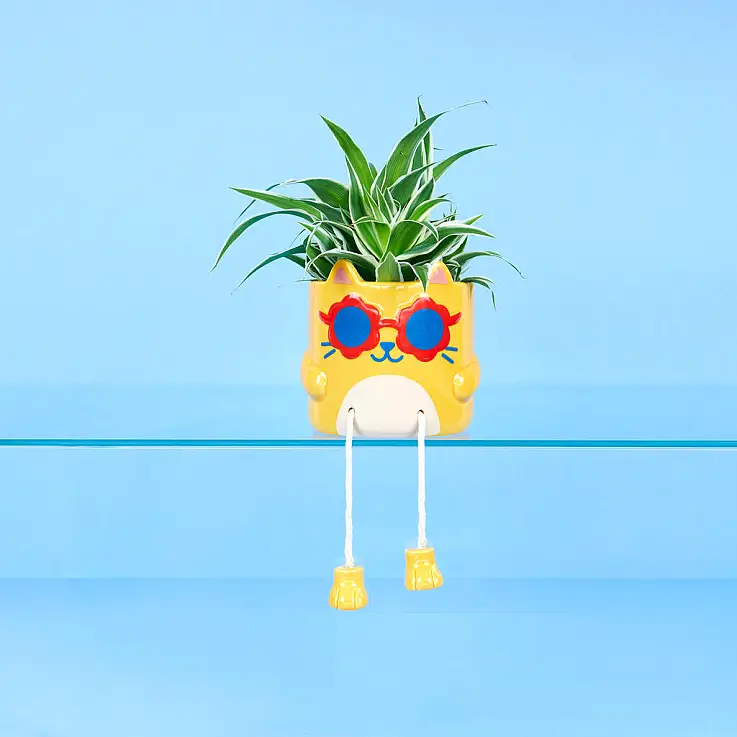 Maceta original Cool Cat