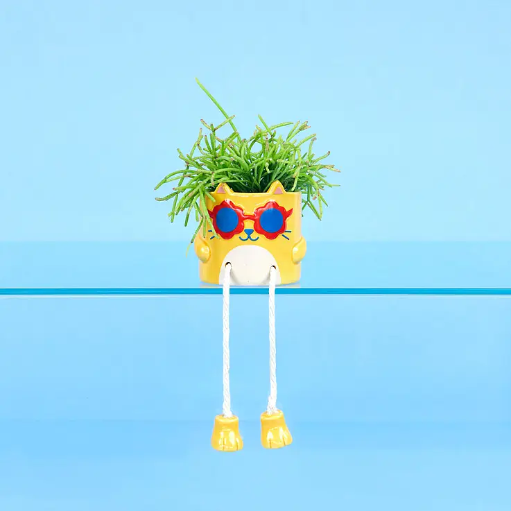 Mini maceta Cool Cat