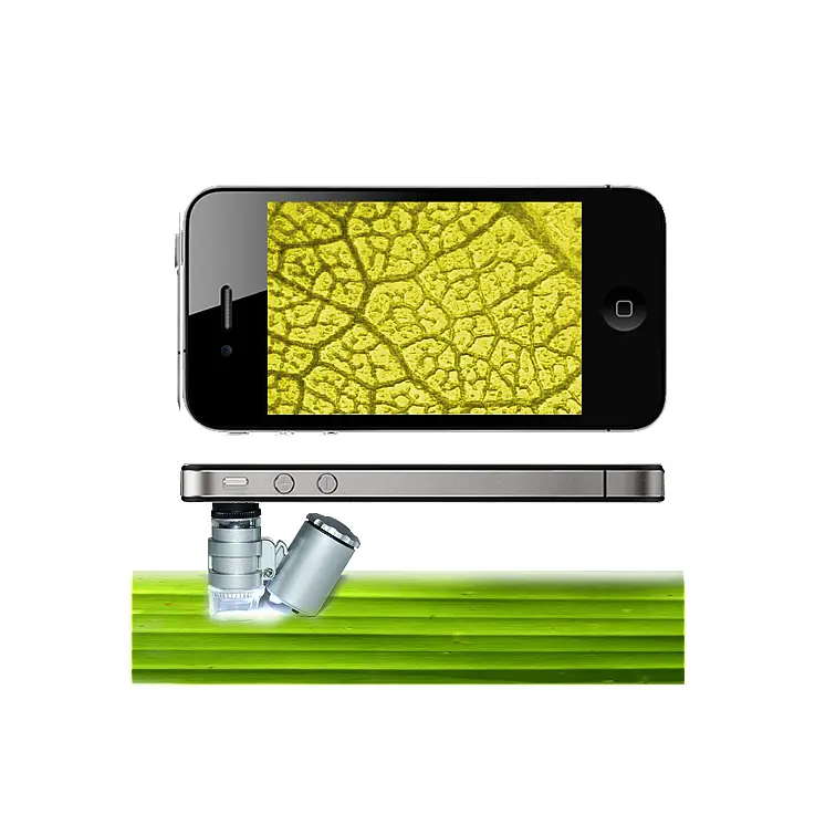 Podrás apreciar hasta el más mínimo detalle y capturarlo mediante fotografías