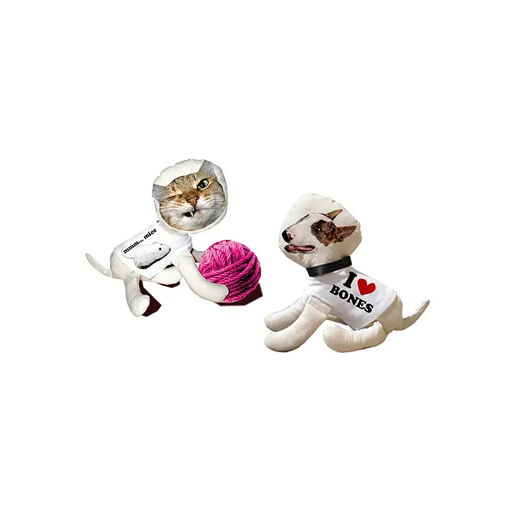 Elige tu kit: Youdoocat o Youdoodog