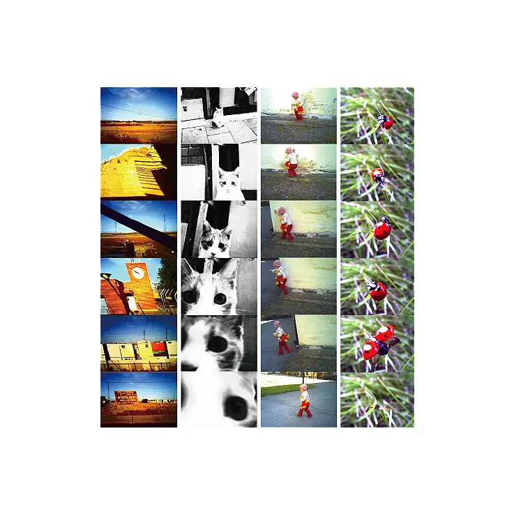 Estas fotos están tomadas con la Guru