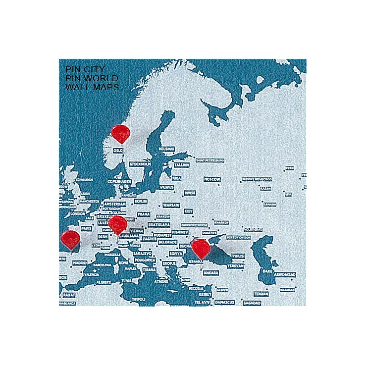 Incluye 15 chinchetas especialmente diseñadas para Pin World