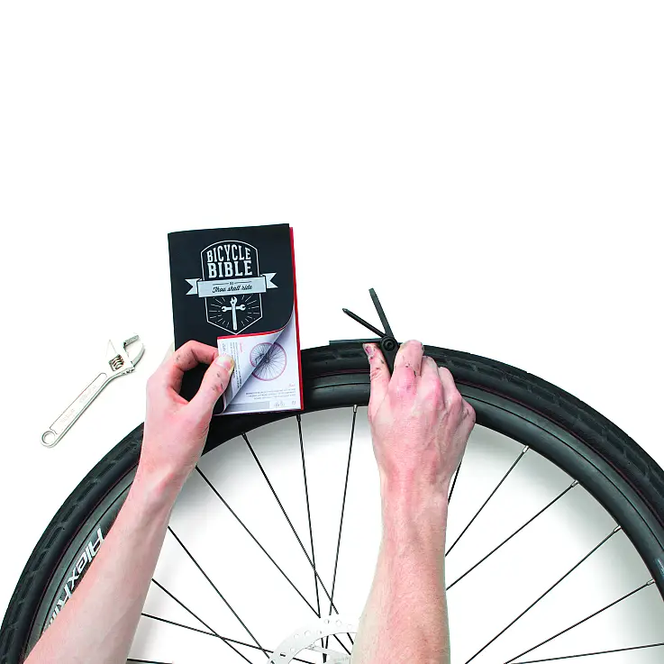 En ella encontrarás una anatomía de la bici