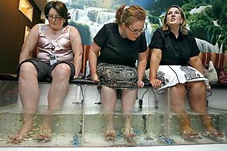 Sharing the water tank with Doctor Fish
