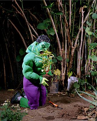 Hulk siempre tuvo buena mano para la jardinería