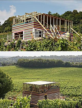 La casa está en medio de un viñedo en Dorking, Surrey