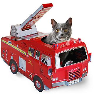 Your cat can be a fireman for a day