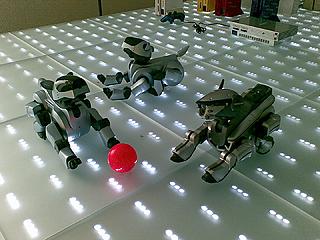 A los perros robot también les molan las pelotitas