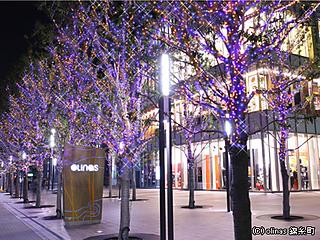 ...and purple trees in Tokyo centre