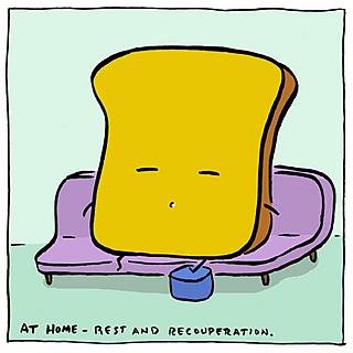 Mr. Toast rests at home after taking a fall